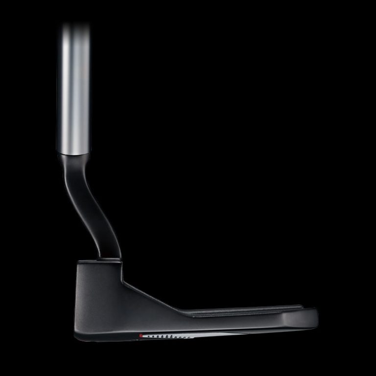 PING 2021 PUTTER TYNE 4 ※長さ調整付き (納期目安：10日前後) | PGST